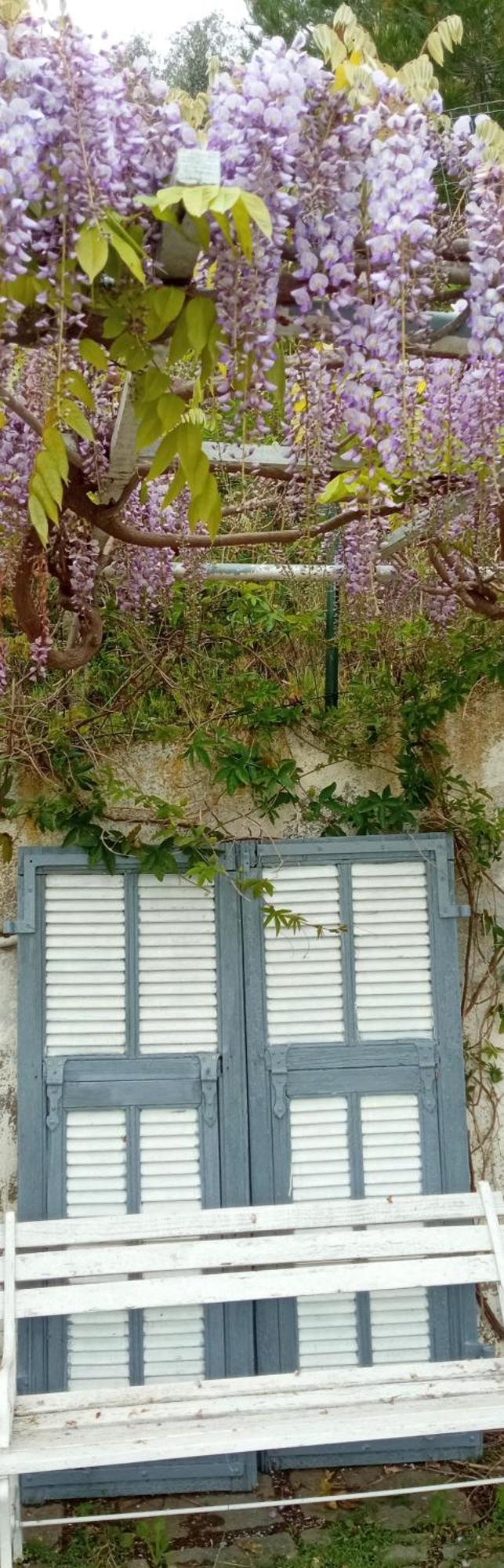 Message In A Bottle Bed And Breakfast Camporosso  Exterior photo